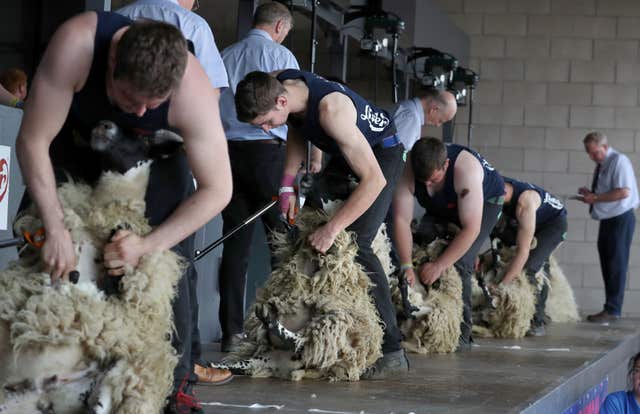 Royal Highland Show