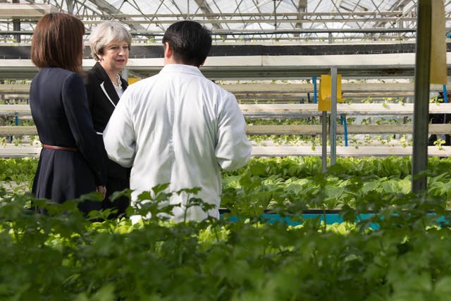 Theresa May visits the greenhouses of Agrigarden, a food research and development company in Beijing