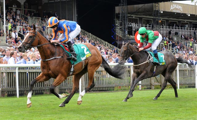 Clemmie was a smart two-year-old but has not run since September