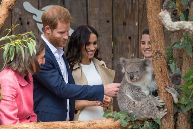 Harry and Meghan in Australia