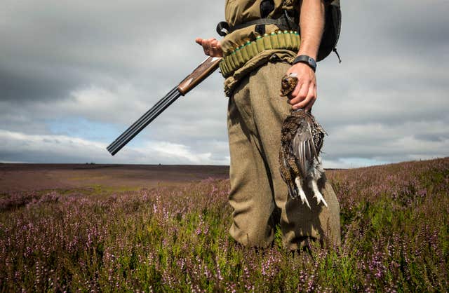 Among the report's recommendations is a call for licensing of grouse shoots to protect birds of prey and upland habitat (Danny Lawson/PA)
