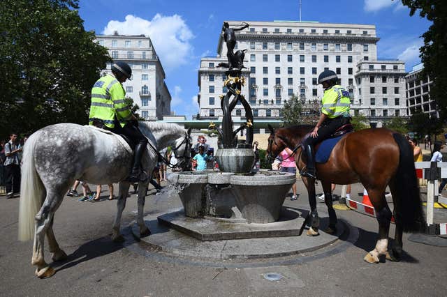 Police horses being watered