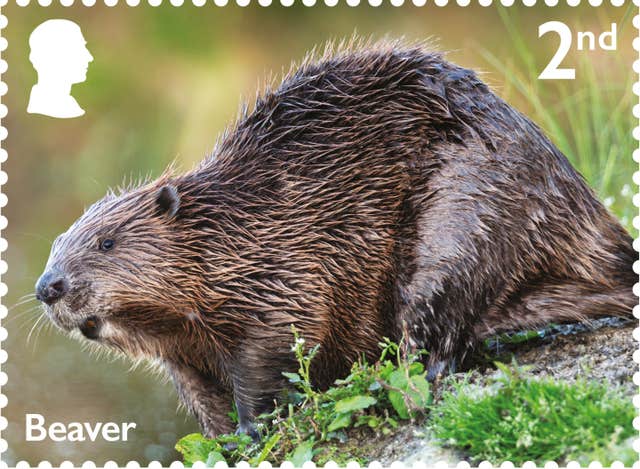 Royal Mail river wildlife stamps