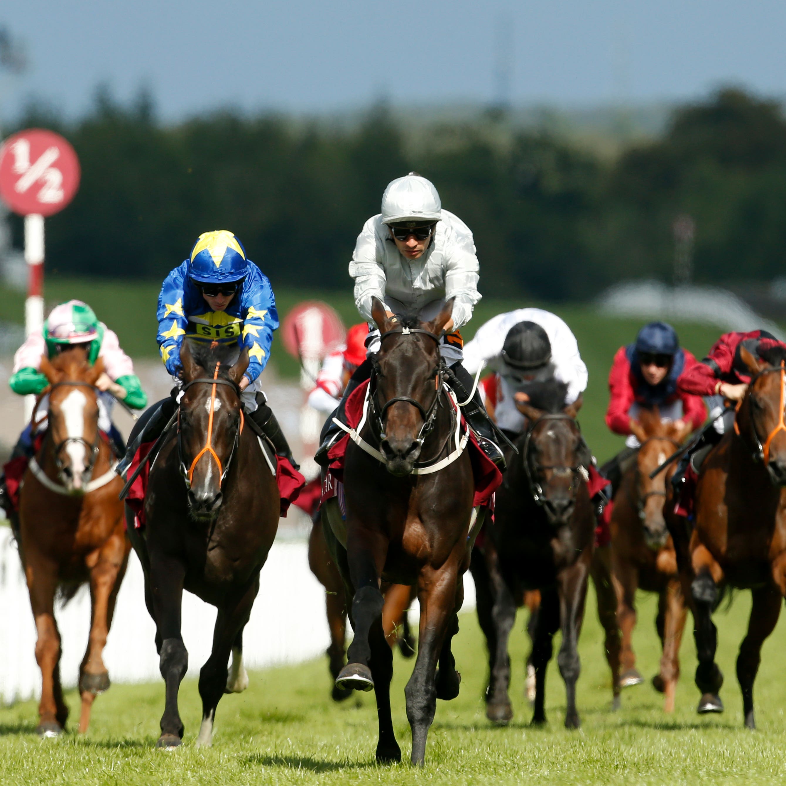 Dee Ex Bee winning his maiden at Goodwood last year