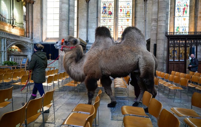 Christmas Eve Service rehersal at Salisbury Cathedral