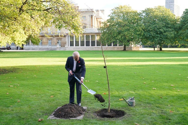 Charles plants a tree