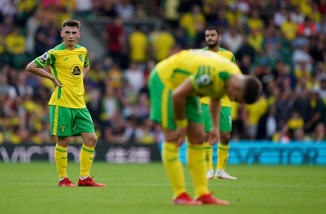 Norwich slumped to defeat at home to fellow Premier League newcomers Watford on Saturday.