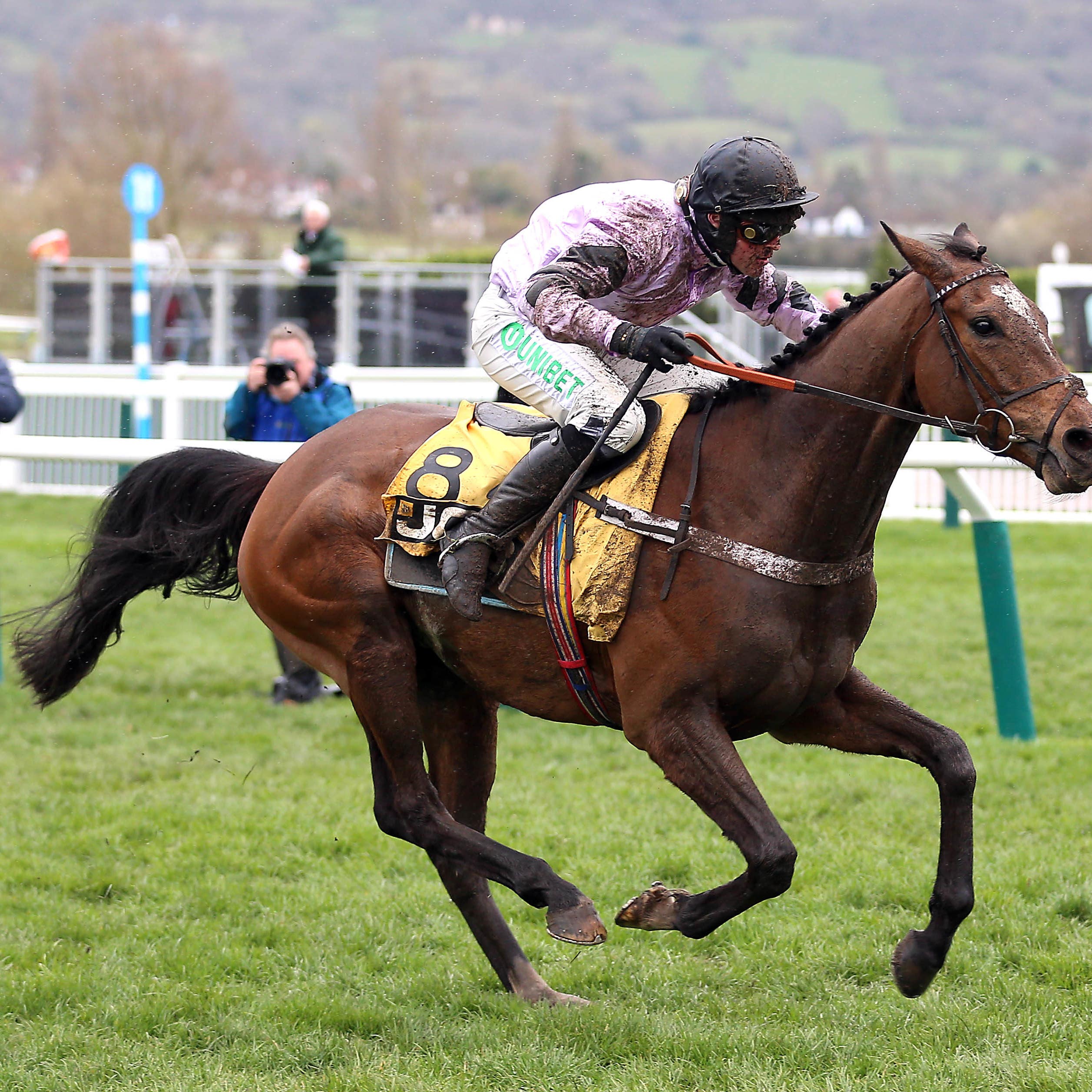Pentland Hills powers up the hill to win the Triumph Hurdle