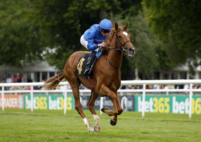 Desert Flower came home alone at Newmarket in August