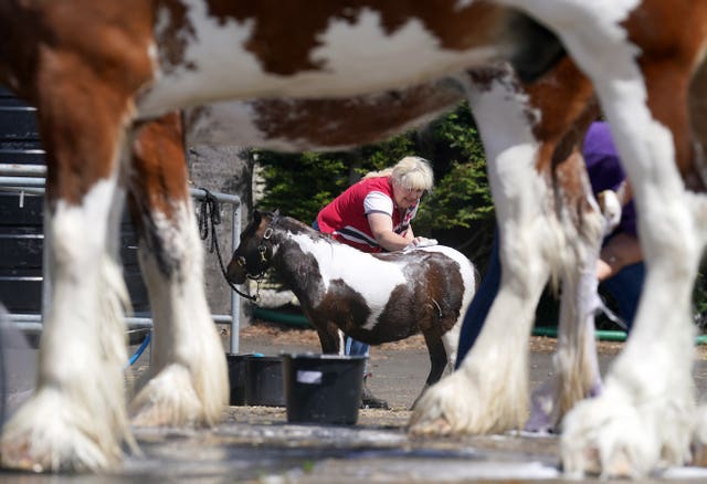 Royal Highland Show 2022