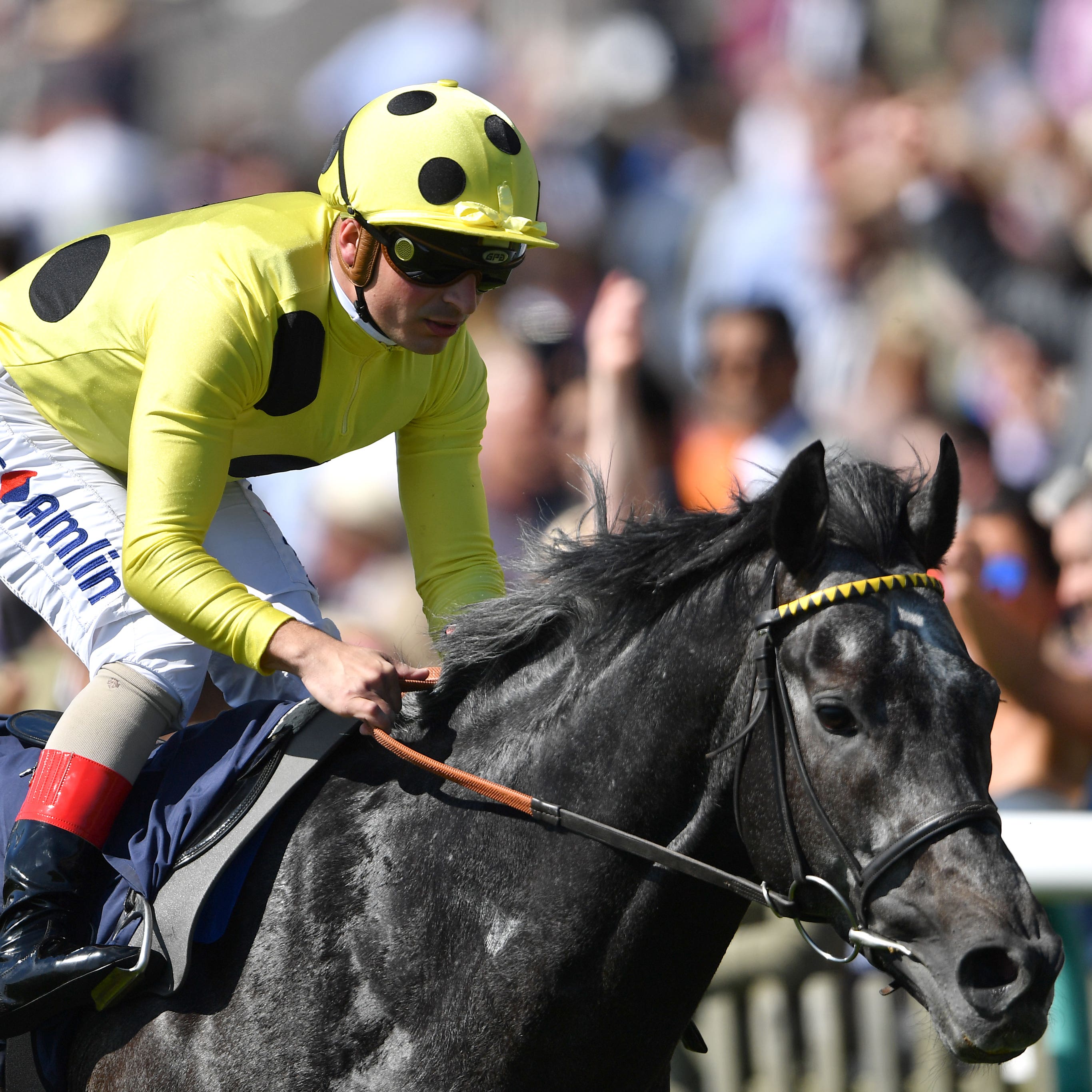 Defoe is set for a trip to the Curragh (Joe Giddens/PA)
