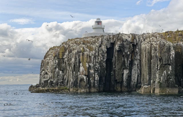 Farne Islands closed to human visitors