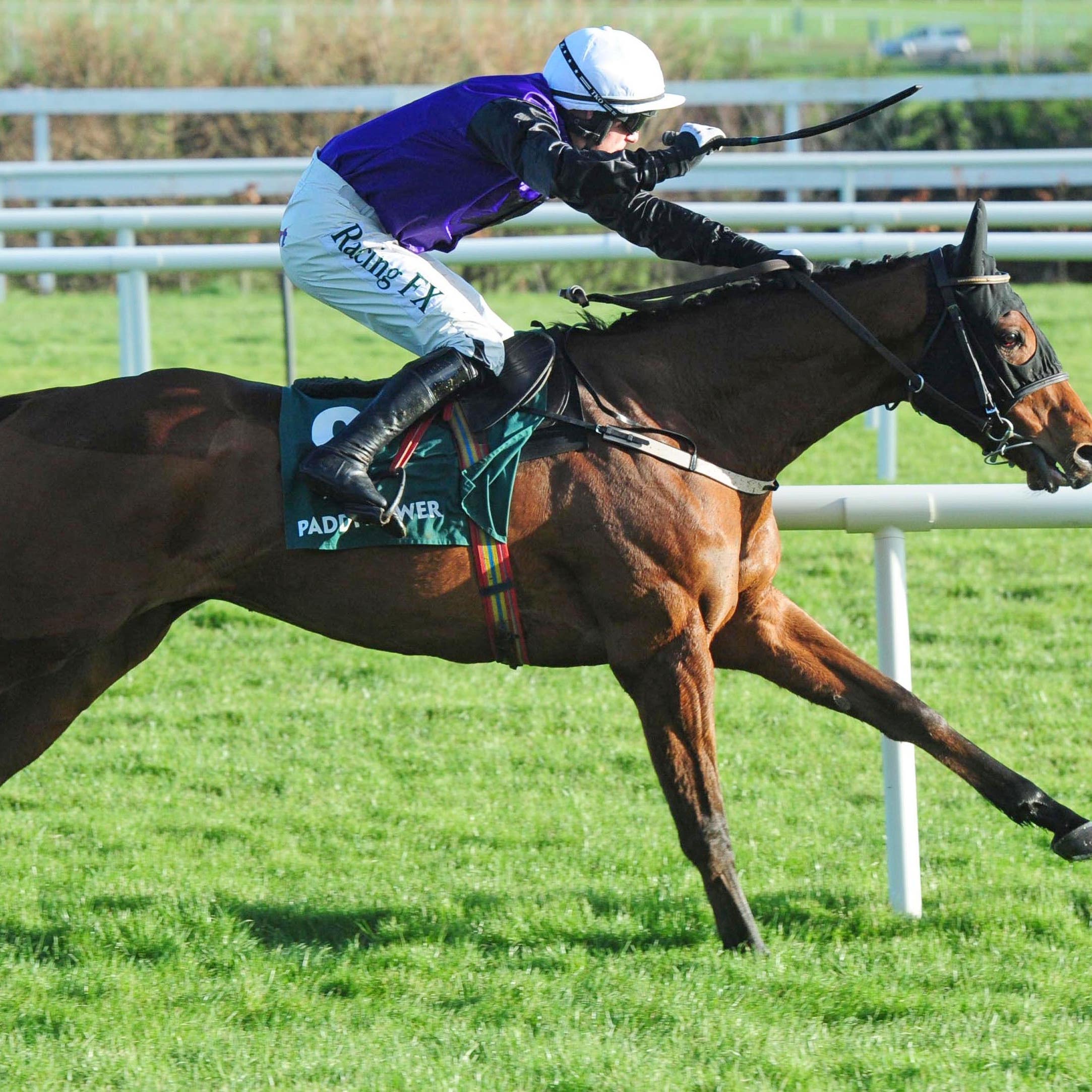 Leopardstown Christmas Festival – Day Two – Leopardstown Racecourse