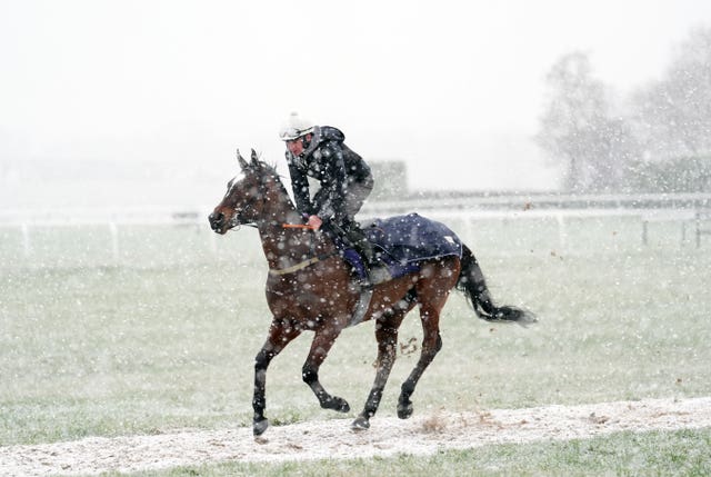 Snow falls as a horse and jockey warm up on the gallops 