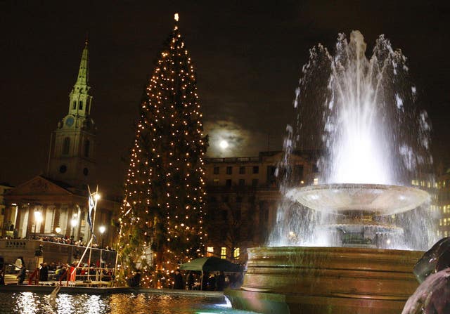 Trafalgar Square Christmas tree