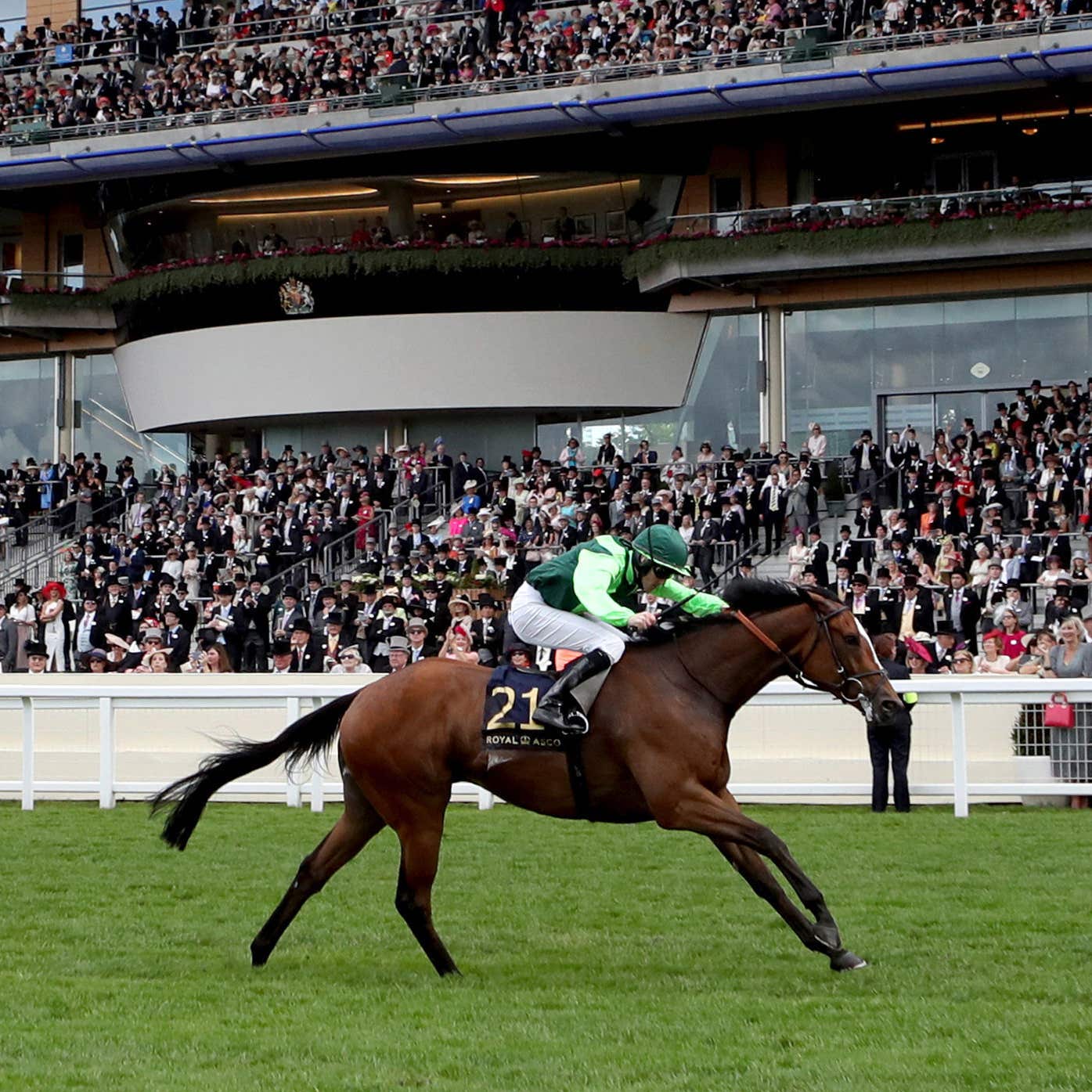 Settle For Bay (right) romps home in the Royal Hunt Cup last year and is on course to bid for a repeat success
