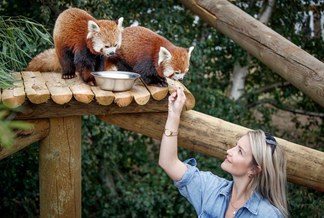 Yorkshire Wildlife Park expanded animal reserves