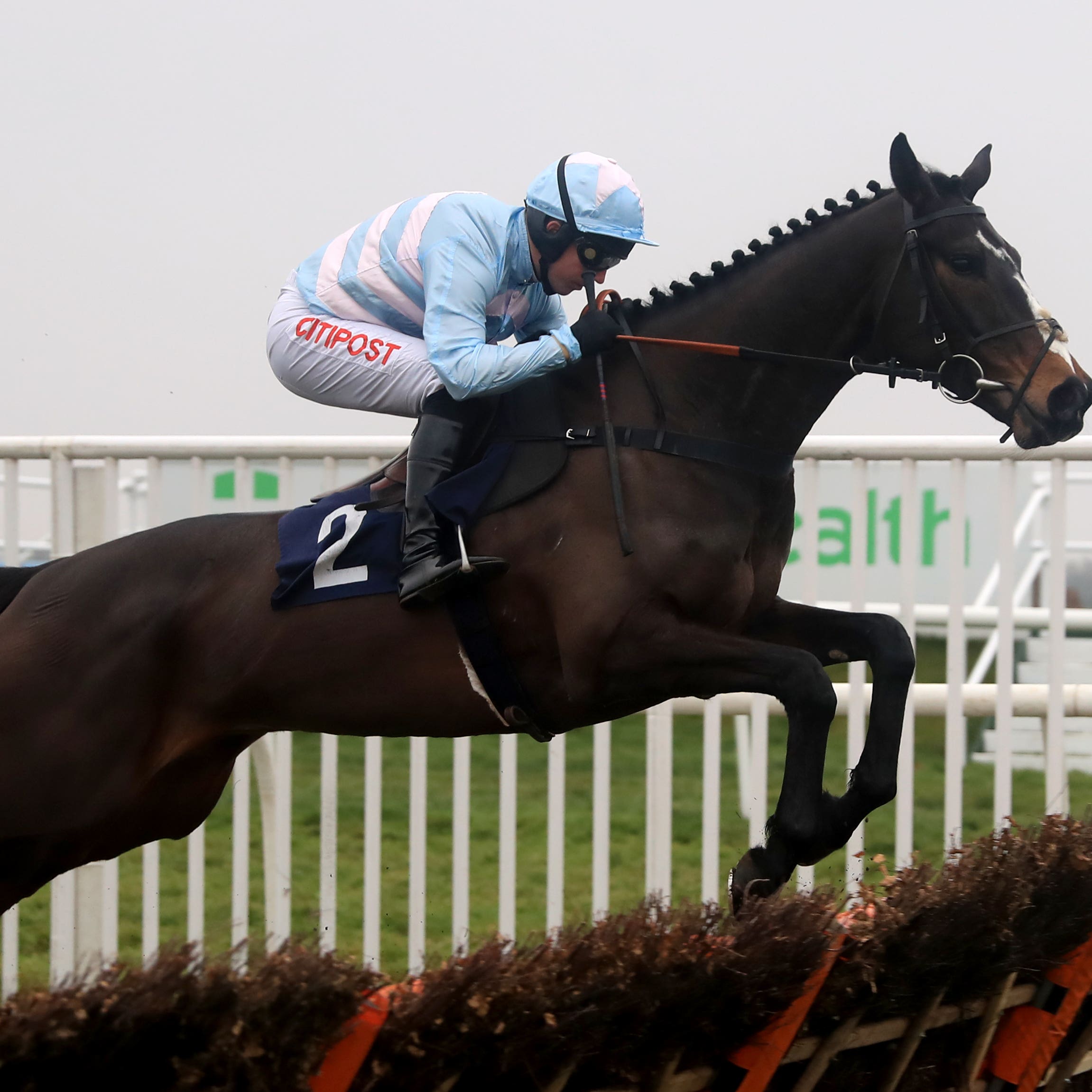 Black Op may reappear at Exeter week