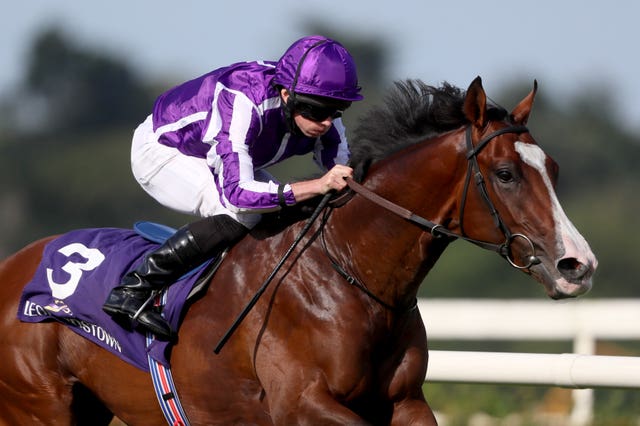 Point Lonsdale in action at Leopardstown
