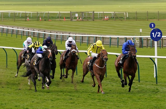 Pretty Crystal (yellow) got the better of Dance Sequence in the Nell Gwyn