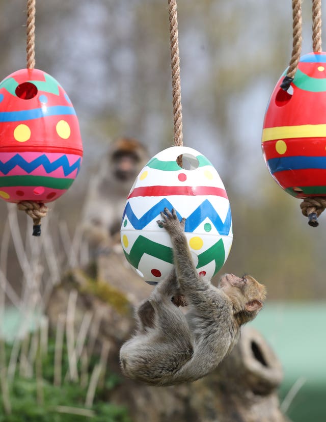 Easter at Blair Drummond Safari Park