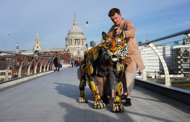 Life of Pi photocall – London