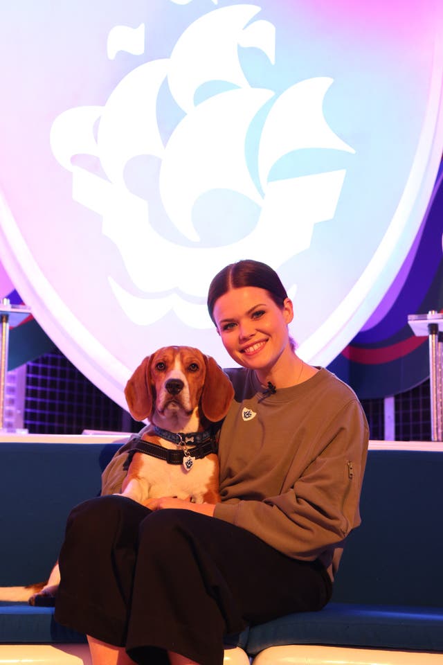 Blue Peter rescue dog
