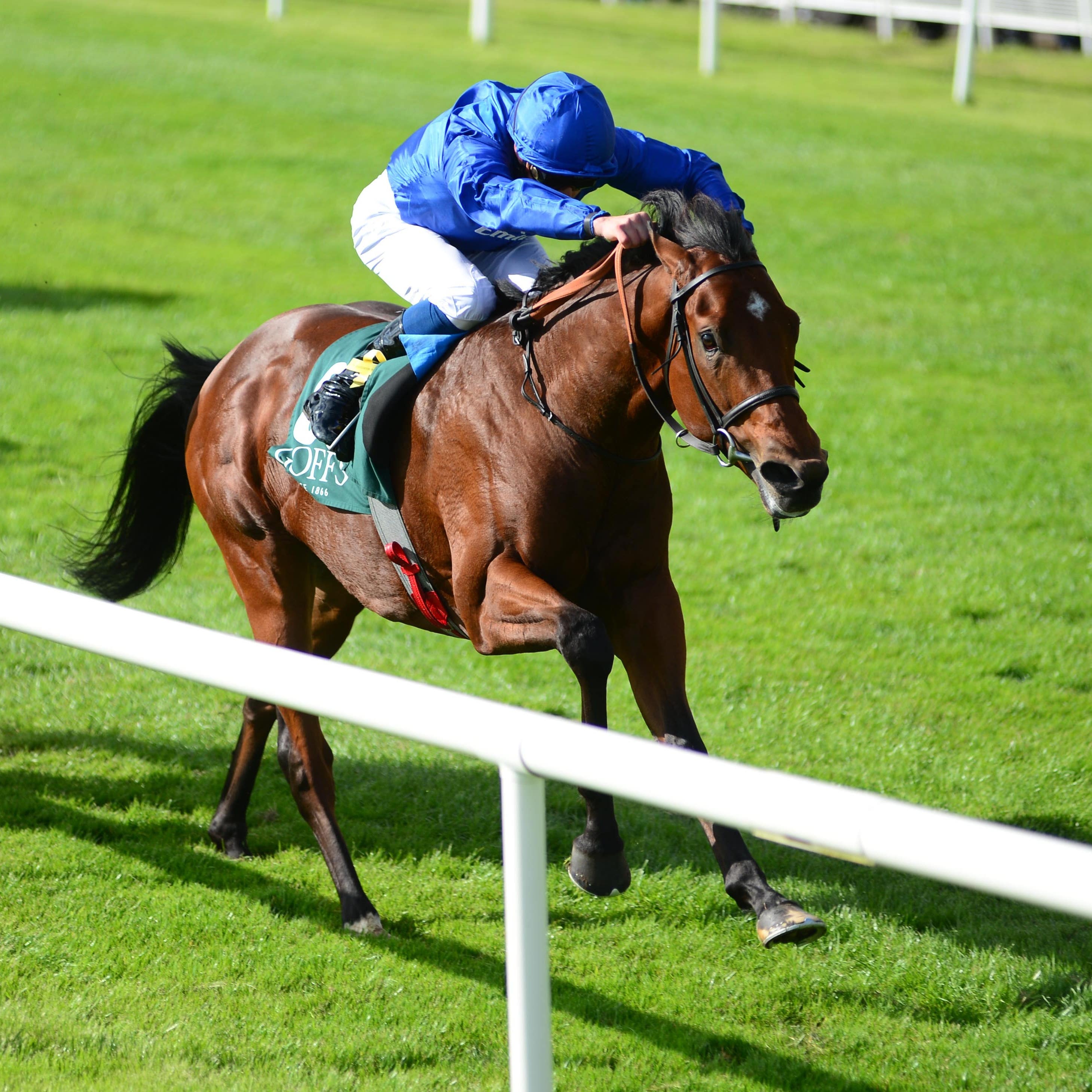 Quorto has been ruled out of the 2000 Guineas