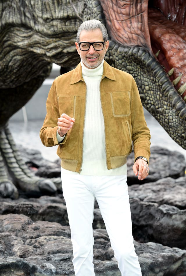 Jeff Goldblum also appeared in Steven Spielberg's 1993 film Jurassic Park. 