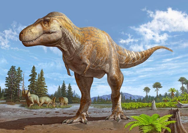 Artist’s impression of a newly-discovered subspecies of tyrannosaur