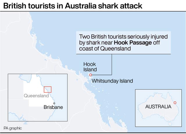 Shark attack graphic