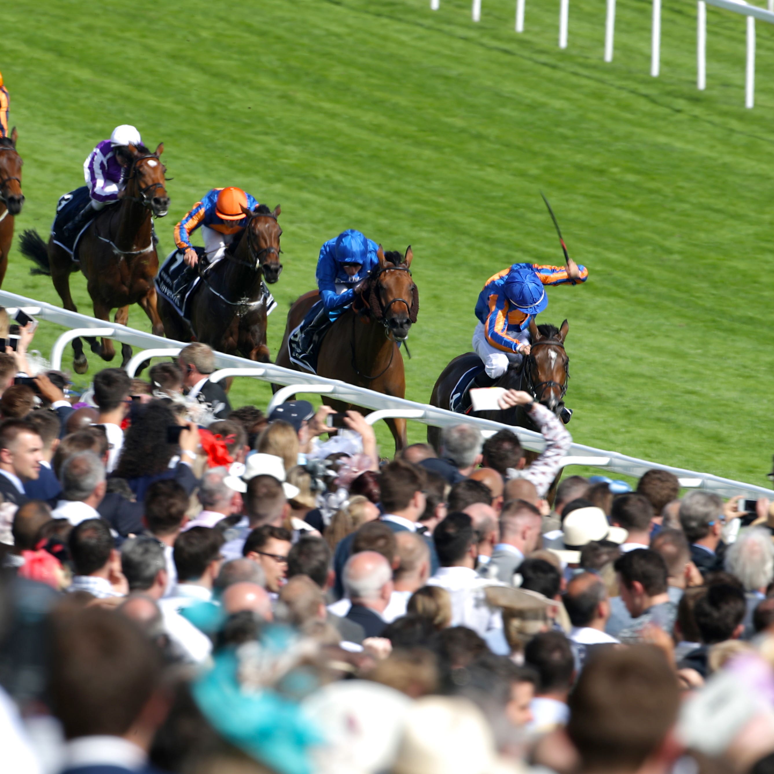 Wild Illusion (second right) finishing second to Forever Together in the Oaks at Epsom