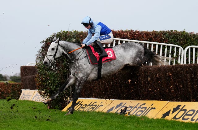 Resplendent Grey has been a smart performer for Olly Murphy this season
