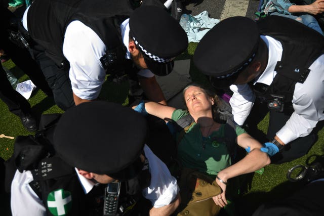 Police remove demonstrators on Waterloo Bridge 