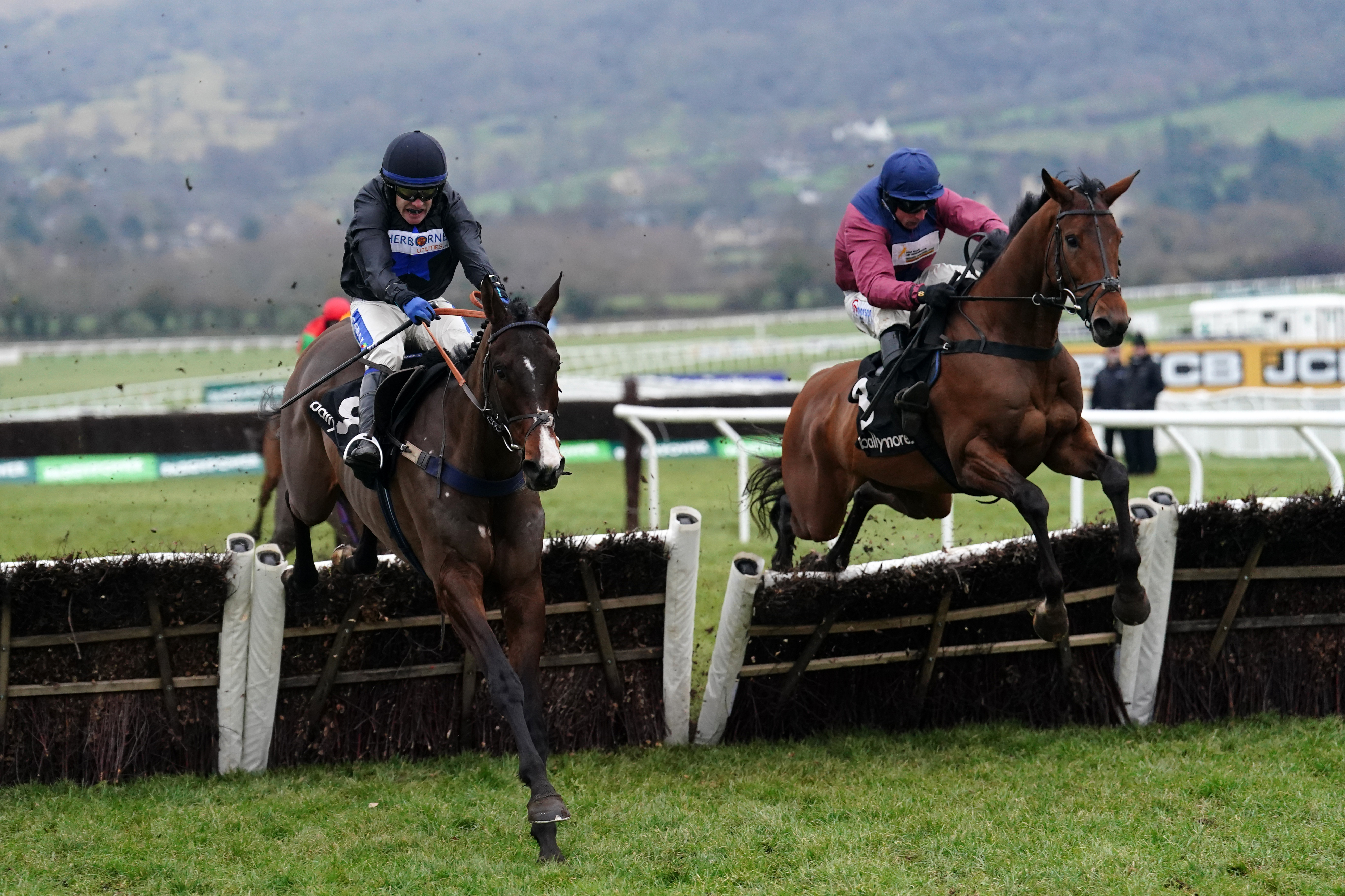 Rock My Way ridden by Tom Scudamore (left)