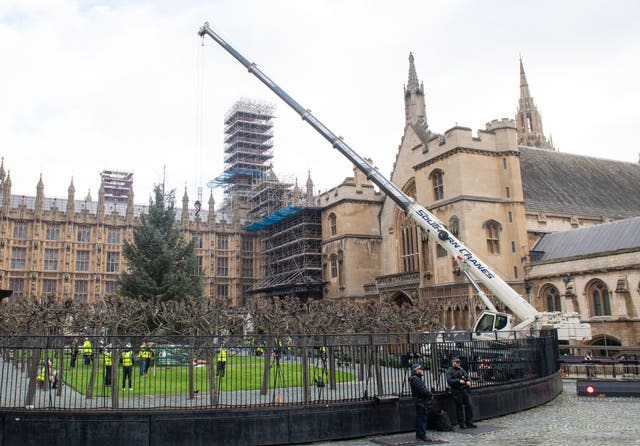 Xmas tree for Parliament Square