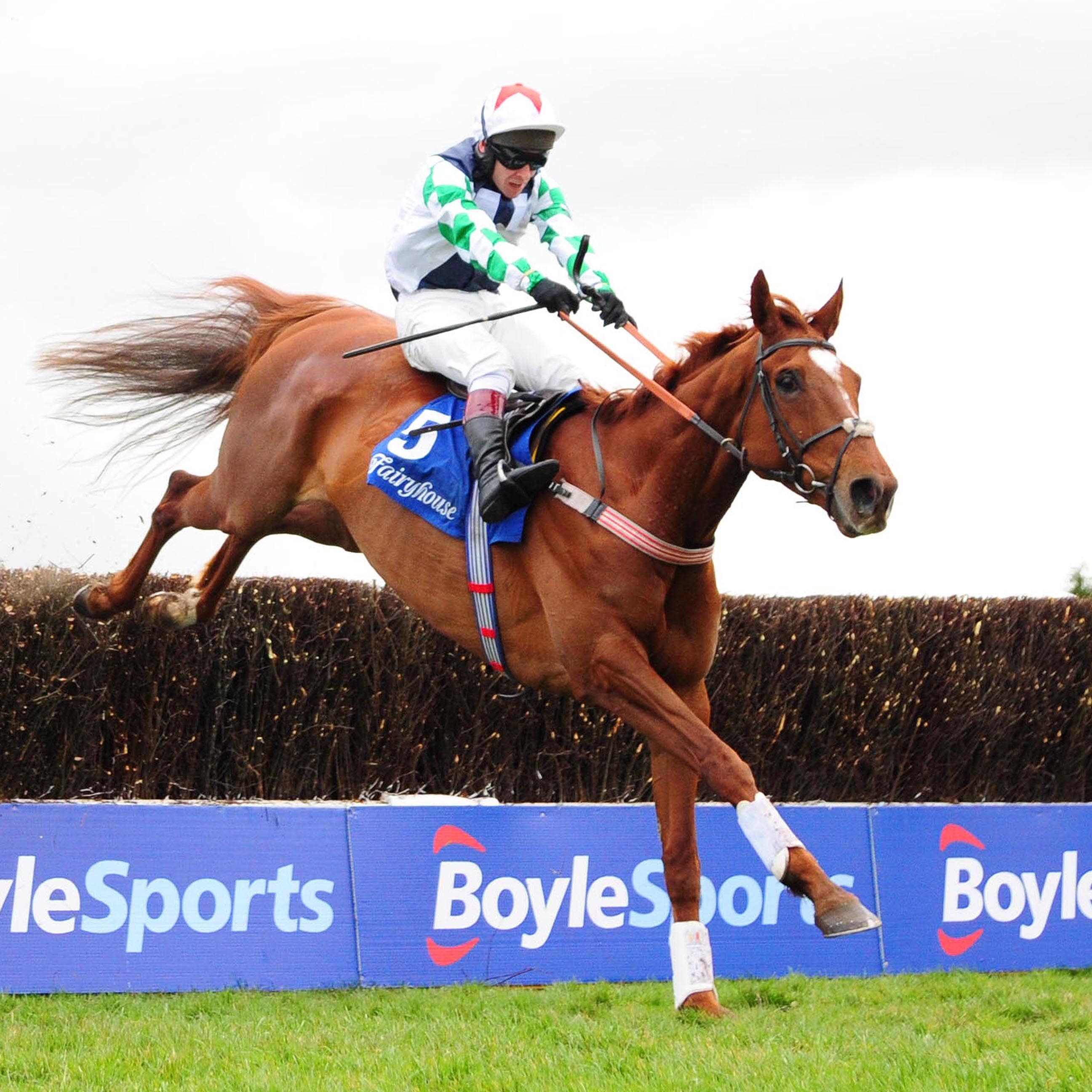 Top Gamble will be ridden by his trainer Kerry Lee in a charity race at Hereford