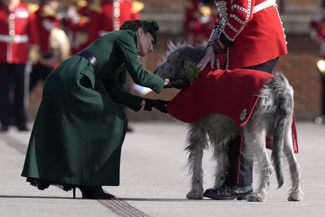 The Princess of Wales presents Seamus with a sprig of shamrock 