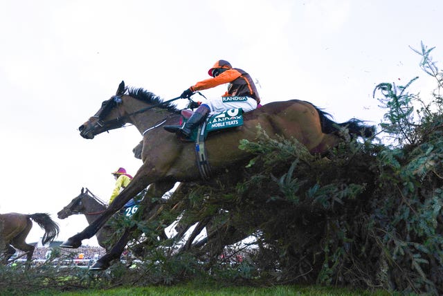 Noble Yeats ridden by Sam Waley-Cohen