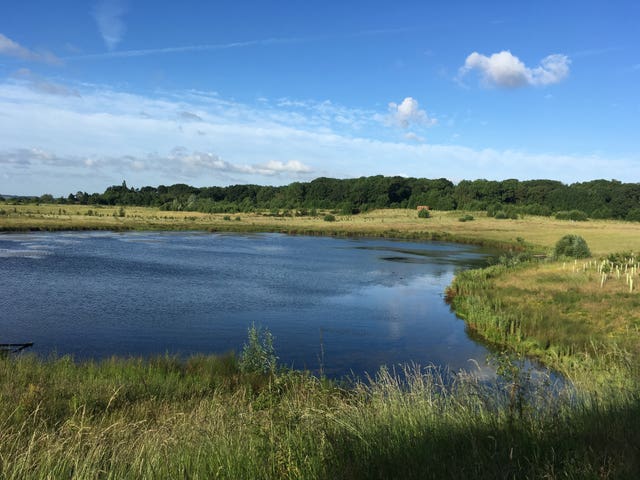 Bubbenhall Meadow pool, an example of living landscape