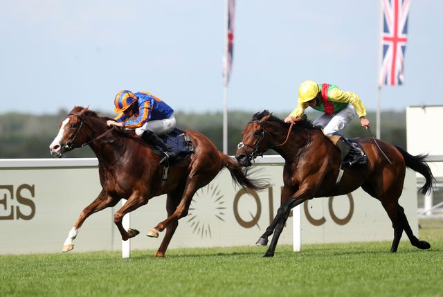 Audarya (right) chases home Love at Ascot