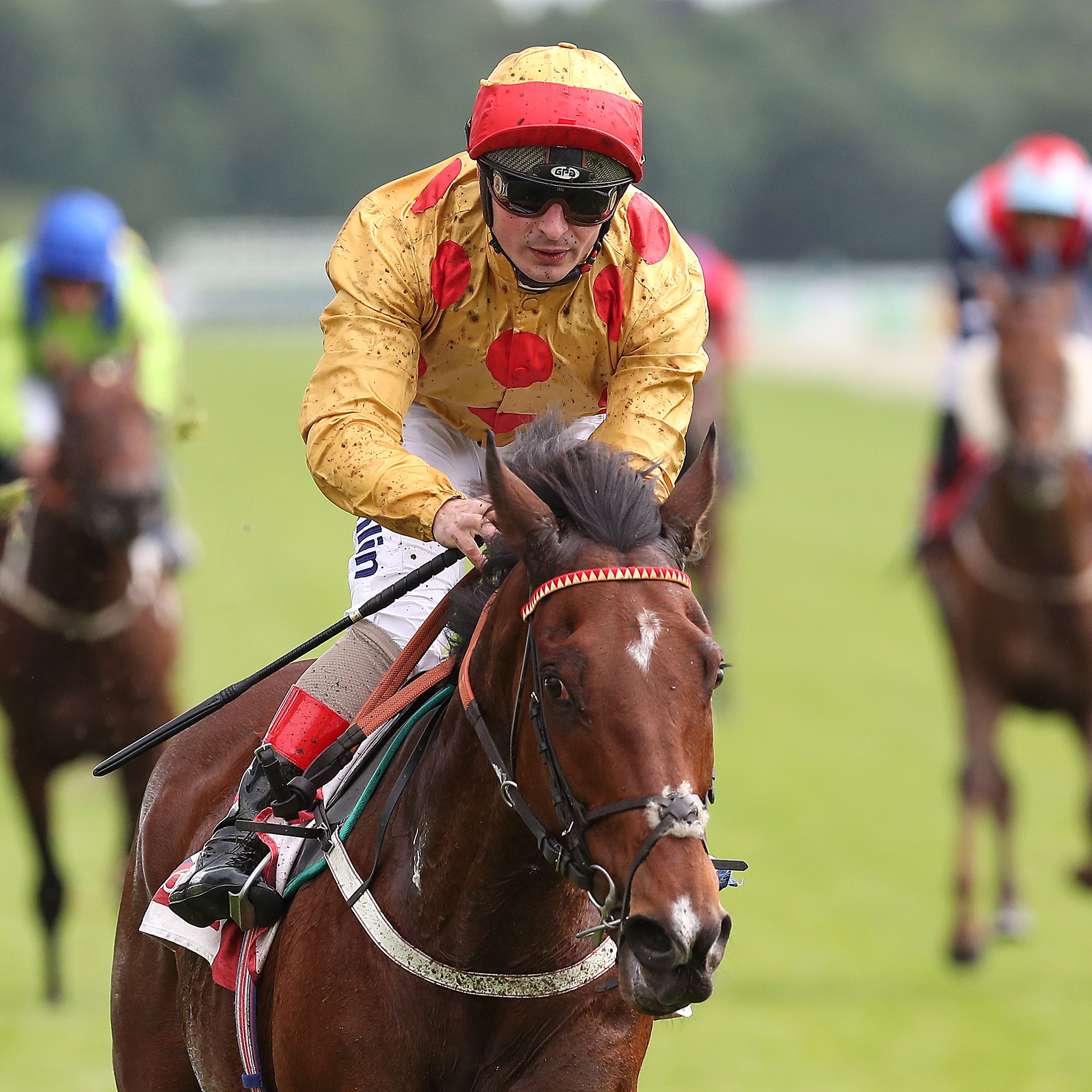 Gold Mount runs out a ready winner at York