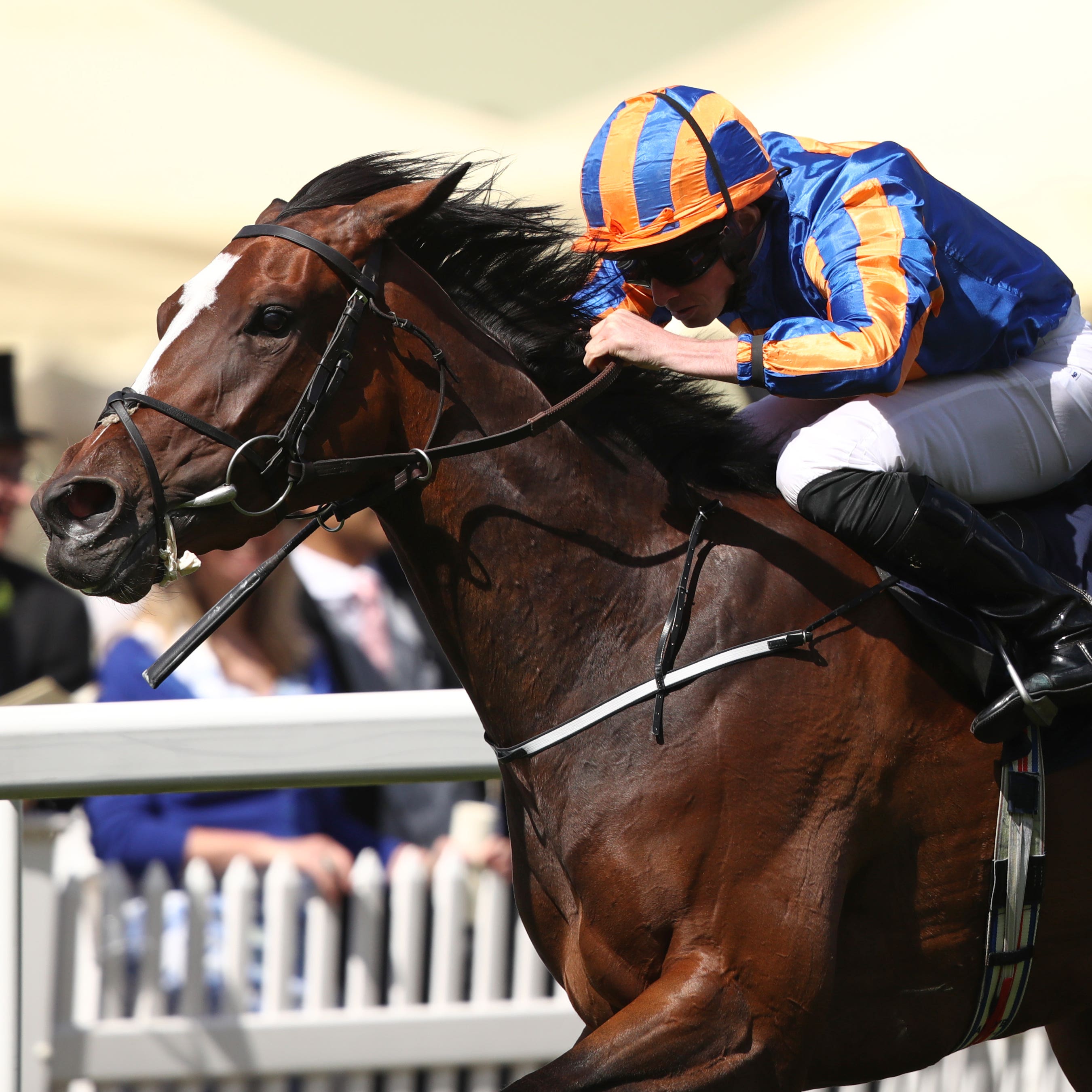 Magic Wand is set to run in the Dubai Sheema Classic