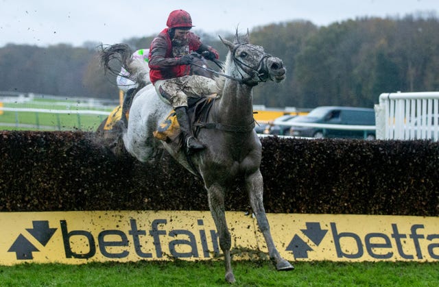 Grey Dawning in action at Haydock 