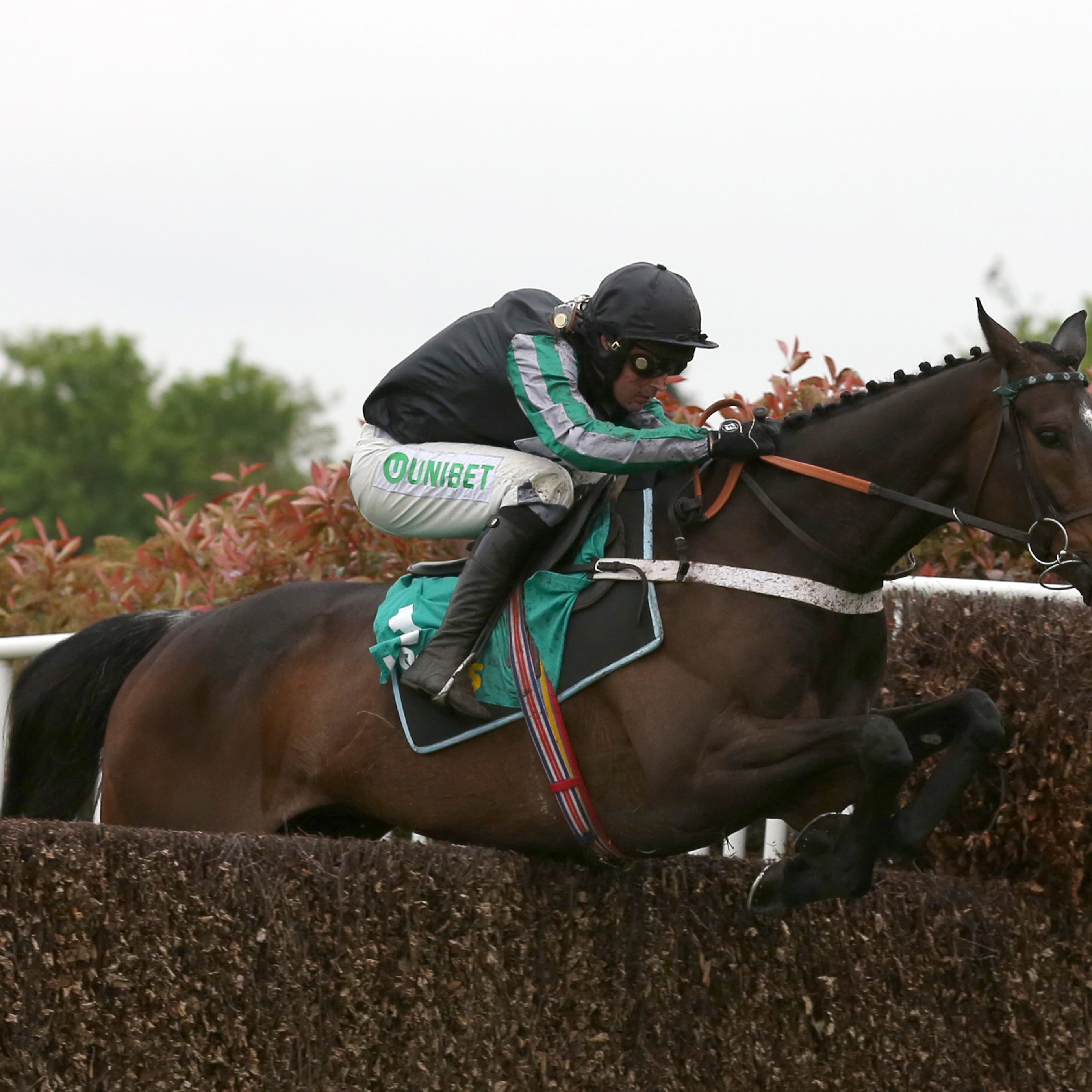 Altior will not run at Cheltenham this weekend
