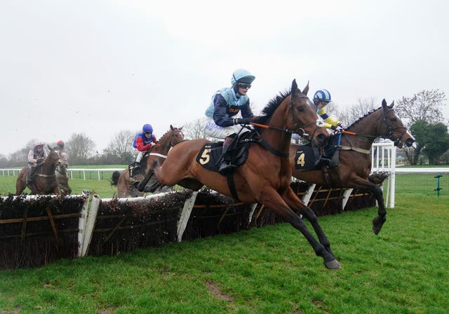 Nordic Tiger winning the Mulberry Developments Novices’ Handicap Hurdle 