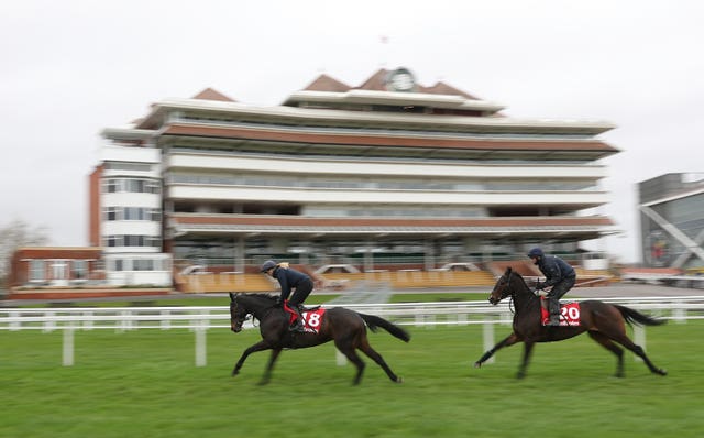 Ladbrokes Winter Carnival Gallops Morning – Newbury Racecourse