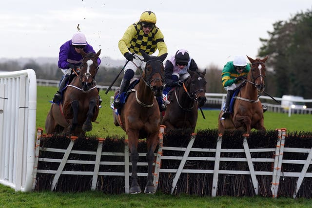 Punchestown Races – Sunday January 12th