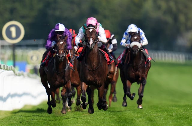 Sandown Park Races – Wednesday September 18th