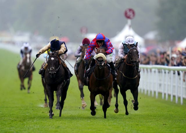 Big Evs (centre) is the only juvenile contender at York
